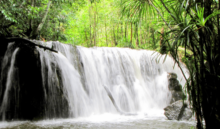 Nước chảy chỗ trũng