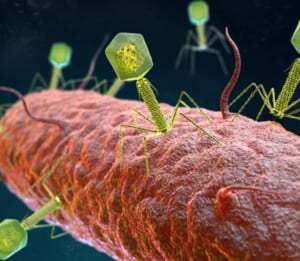 Phát hiện mới trong ruột con người có bao nhiêu loài virus sinh sống