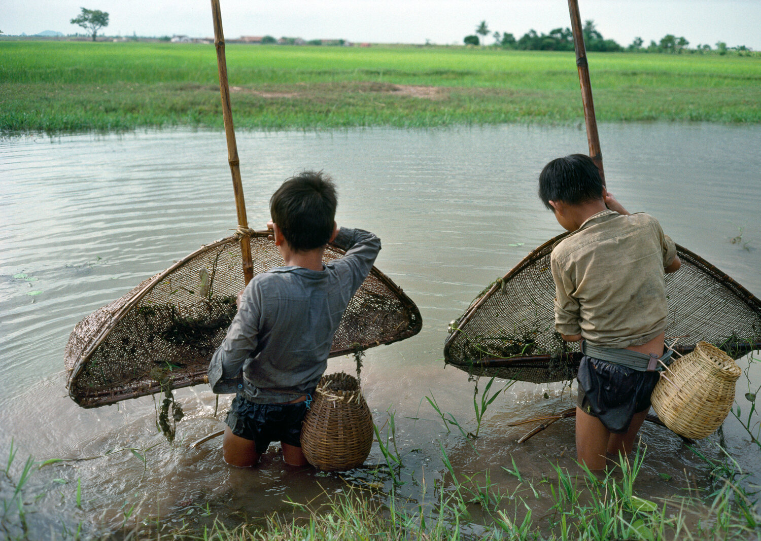 Những đứa trẻ đi bắt cá tháng 9 năm 1988