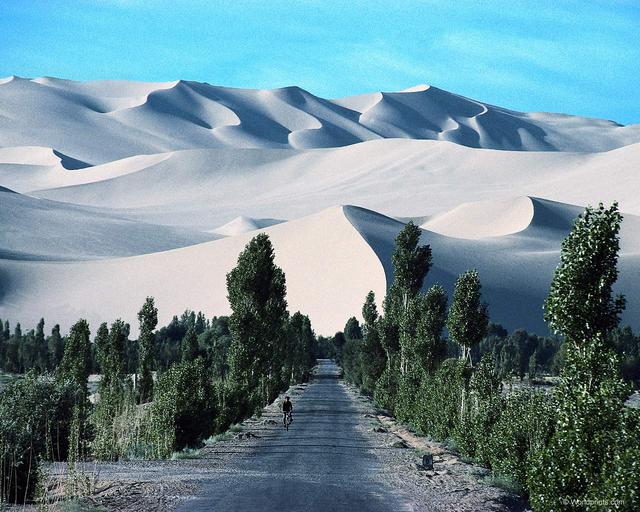 Sa mạc Gobi - Mông cổ
