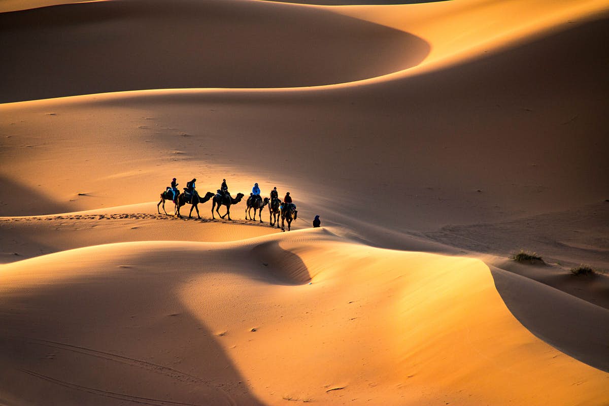 Sahara - Sa mạc lớn nhất thế giới