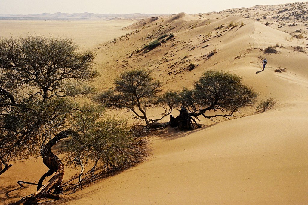 desert Kalahari