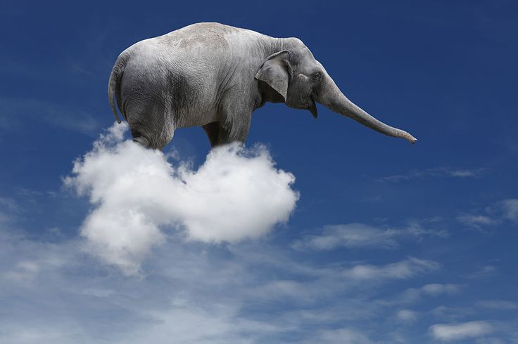 1 đám mây có thể bằng 100 con voi châu phi