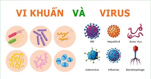 Vi khuẩn và virus