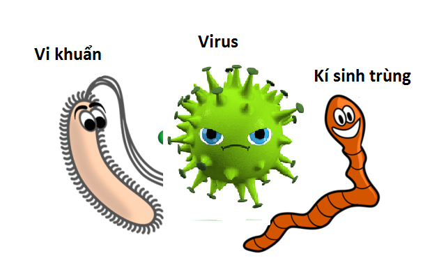 Vi khuẩn và virus