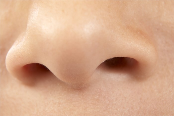 Cơ thể con người không thể thở bằng 2 lỗ mũi cùng lúc