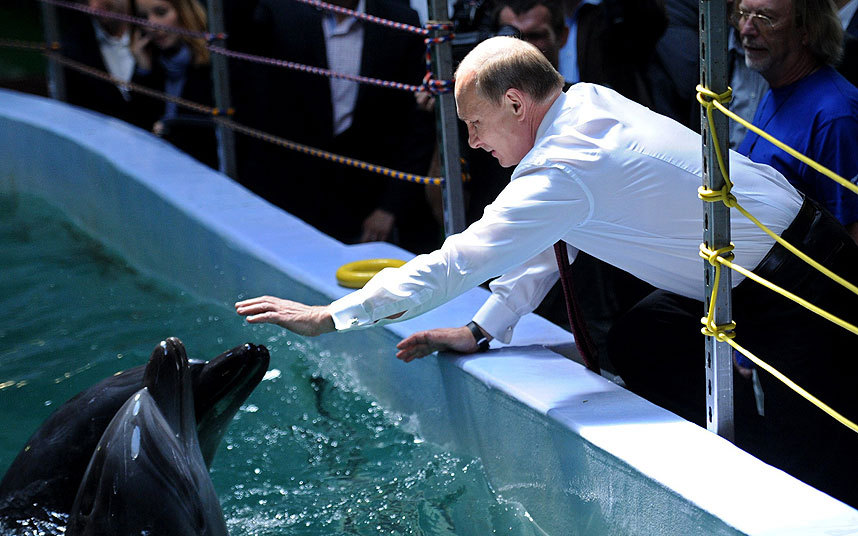 Hoa Kỳ và Nga từng sử dụng cá heo trong chiến đấu