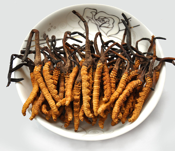 thảo dược