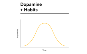 Mối quan hệ giữa Dopamine và thói quen