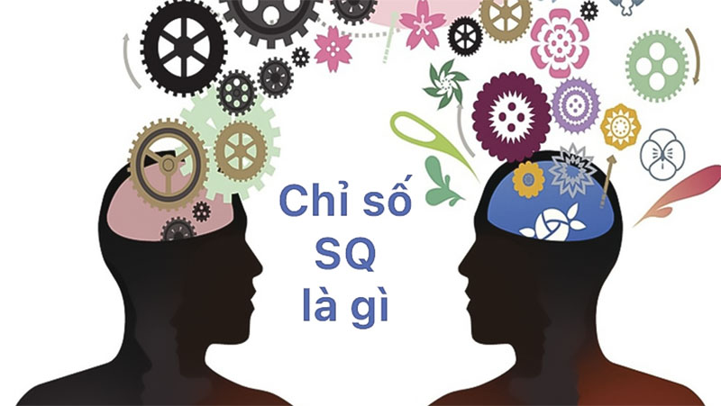 chỉ số SQ là gì