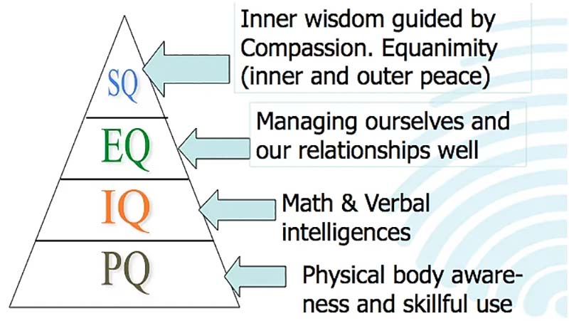 vai trò quan trọng của chỉ số SQ