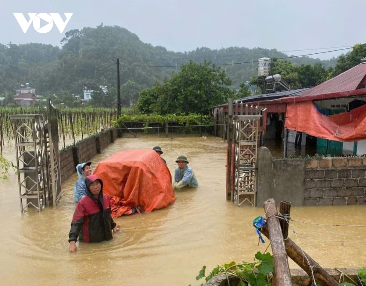 Ăn chặn tiền từ thiện Hành vi đáng lên án và hậu quả pháp lý