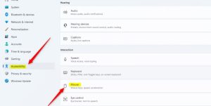 Chỉnh chuột trên Windows 11
