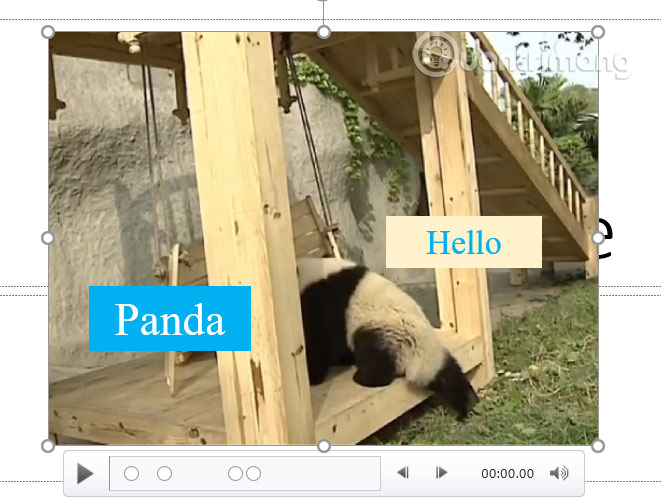 Hộp văn bản video trong slide PowerPoint