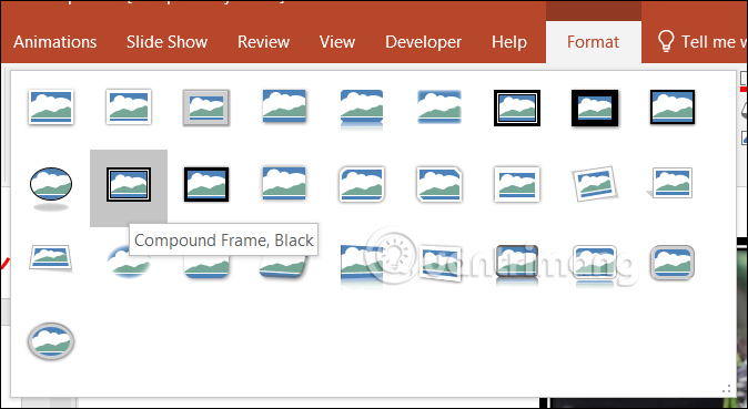 Kiểu hiển thị ảnh PowerPoint