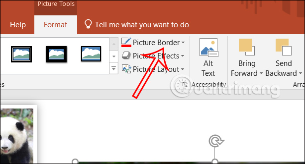 Chọn viền ảnh PowerPoint