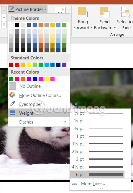 Chọn kích thước viền ảnh PowerPoint