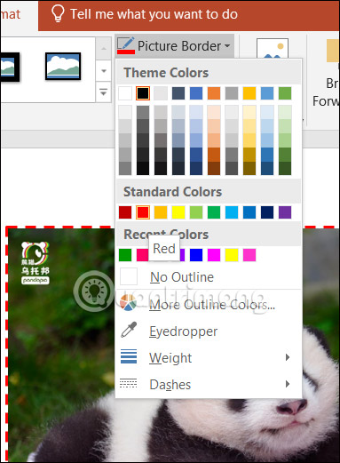 Chọn màu viền ảnh PowerPoint
