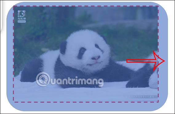 Kẻ khung hình bảo quanh ảnh PowerPoint