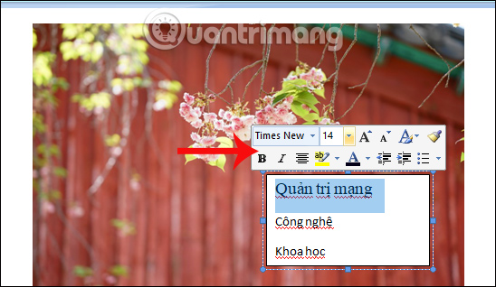Định dạng lại chữ